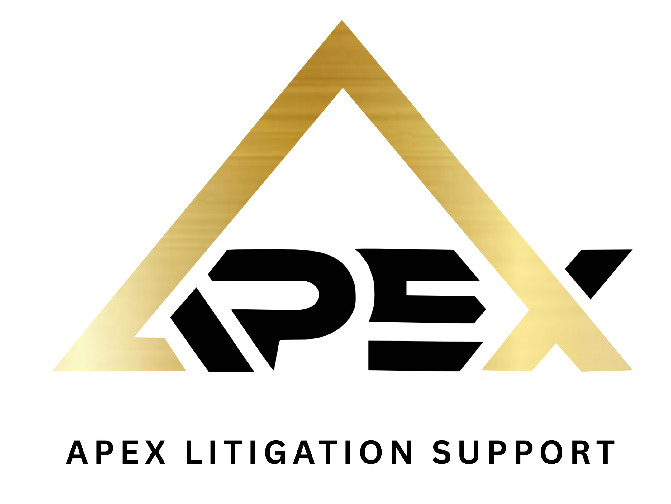 Apex Litigation Support